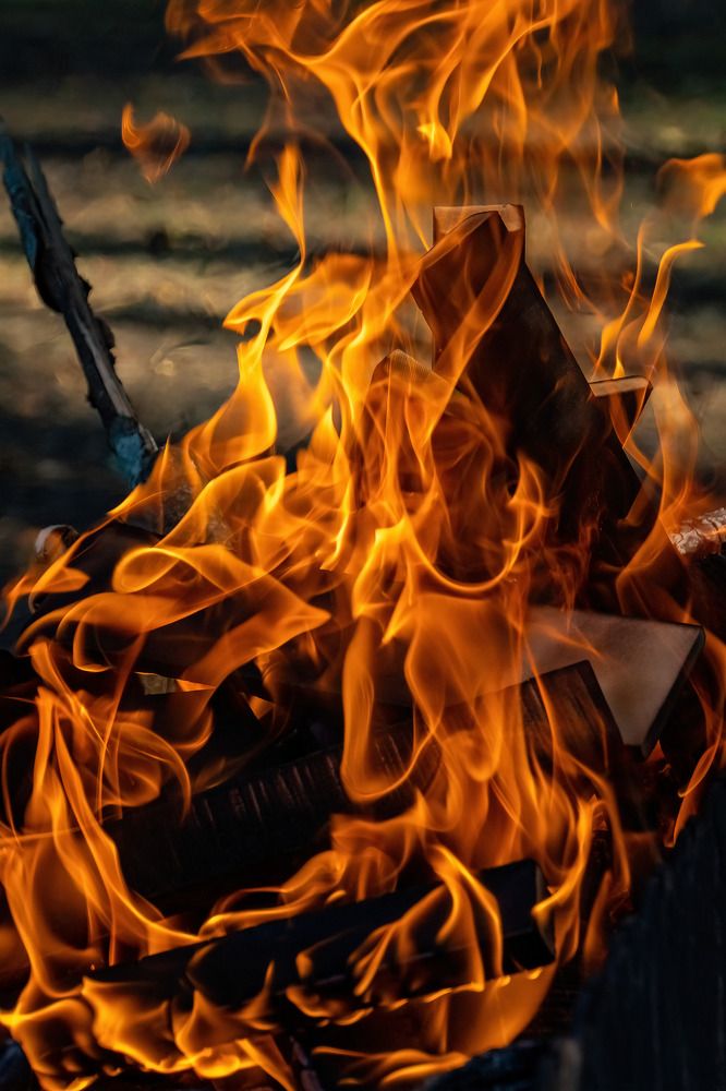 Photograph by Марина Виноградова