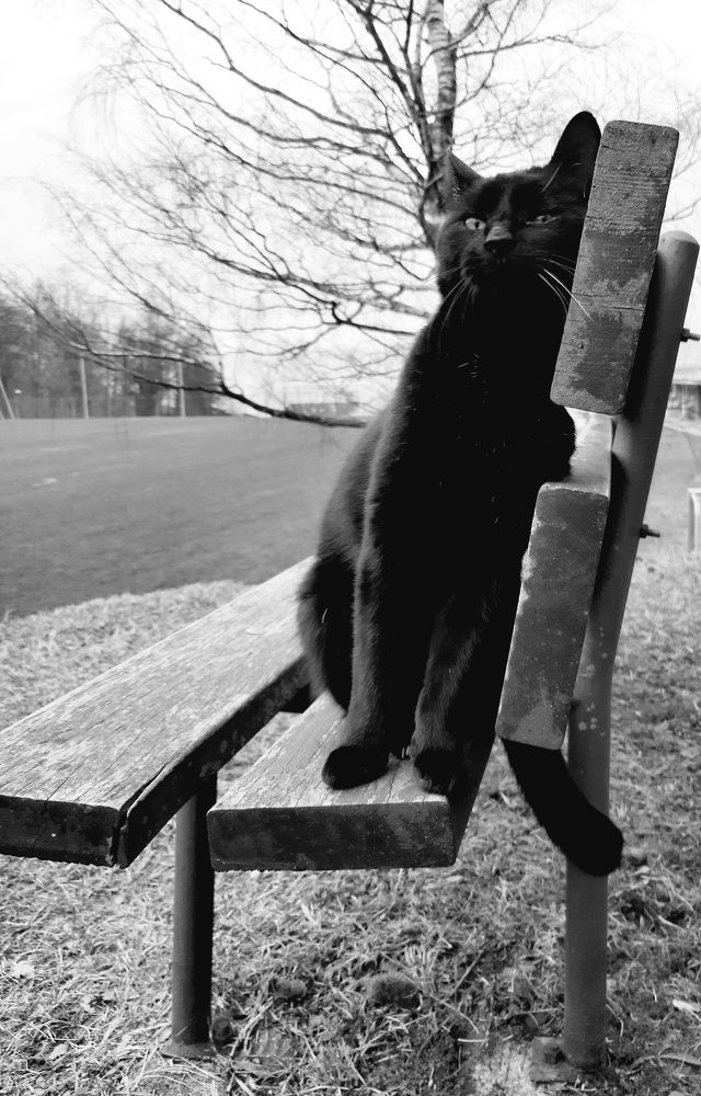 Photograph by Sonia Crotta