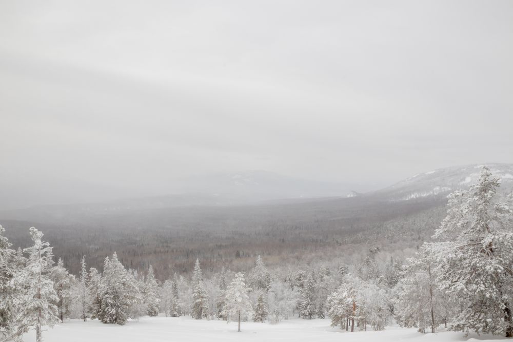Фотография автора Анастасия Тараканова