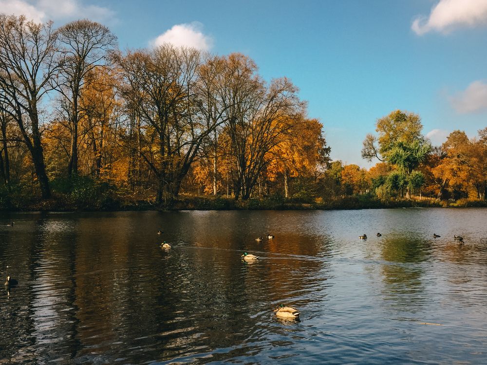 Photograph by Ira Wind