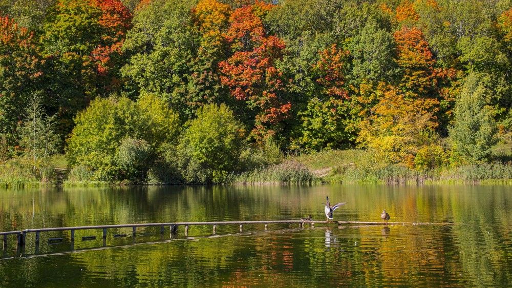 Сентябрьская акварель
