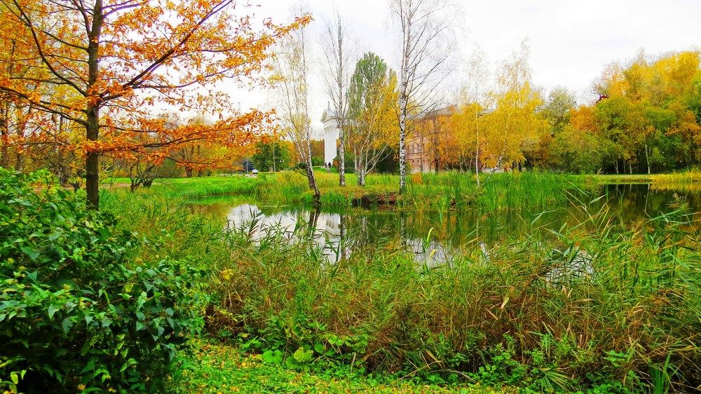 Photograph by Елена Казарина