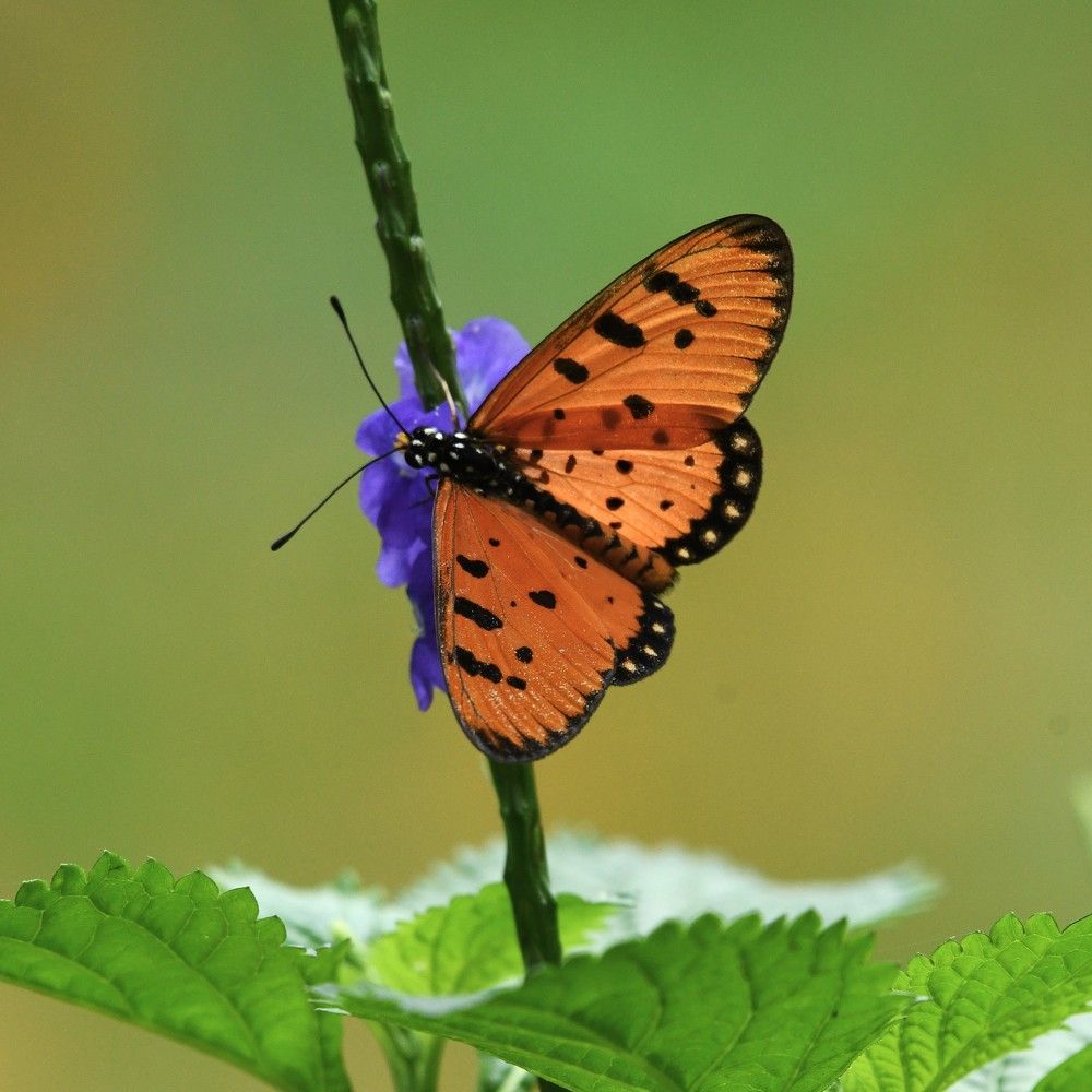 Photograph by Preet saluja