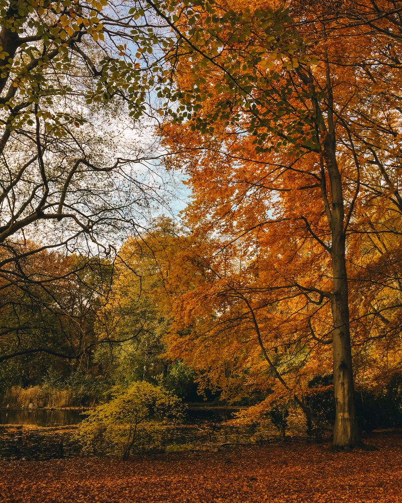 Photograph by Ira Wind