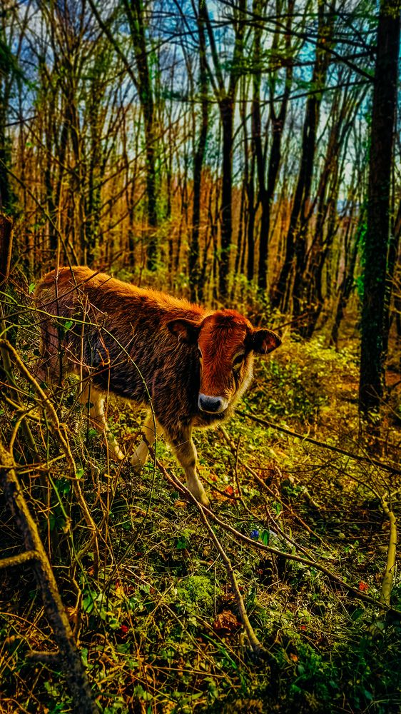 Фотография автора Всеволод Юрша