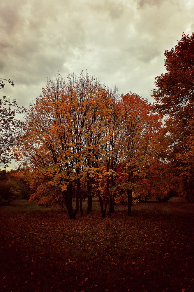 Photograph by Геннадий Натье (Игнатьев)