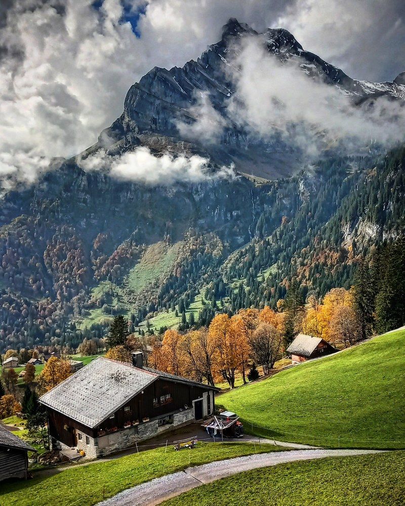 Фотография автора Elena Burgstaller