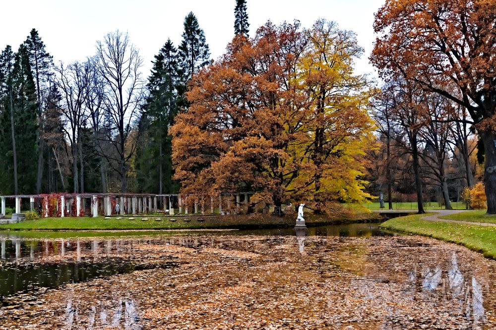 Photograph by Oleg