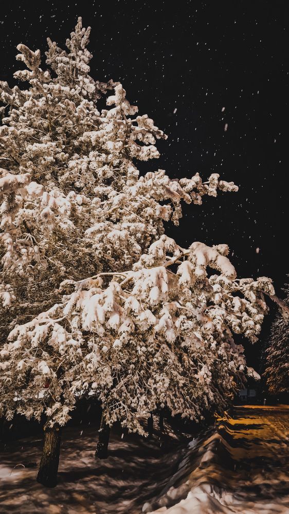 Фотография автора Всеволод Юрша