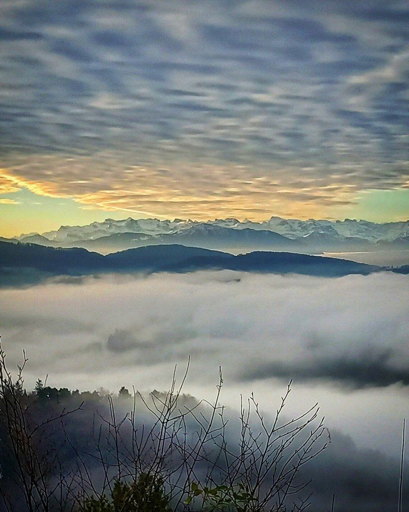 Фотография автора Elena Burgstaller