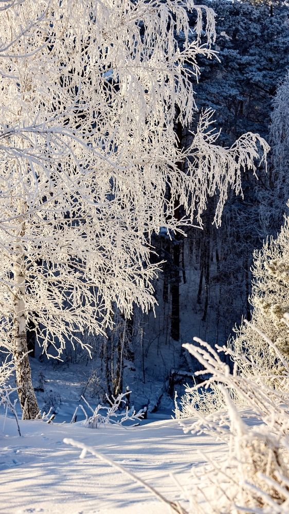 Photograph by Александр Евстигнеев