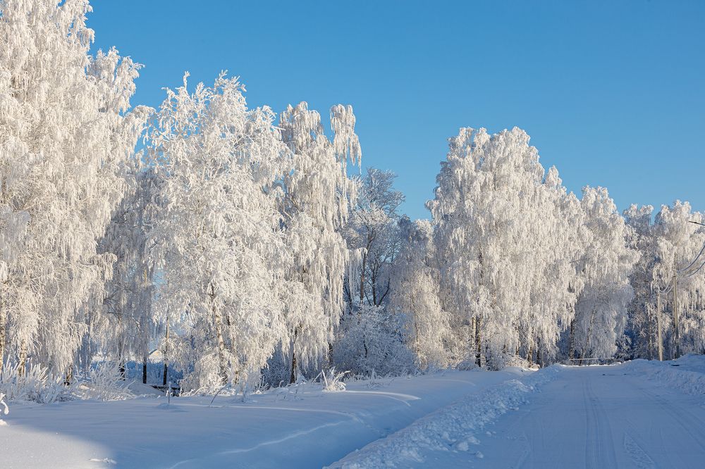 Photograph by Александр Евстигнеев
