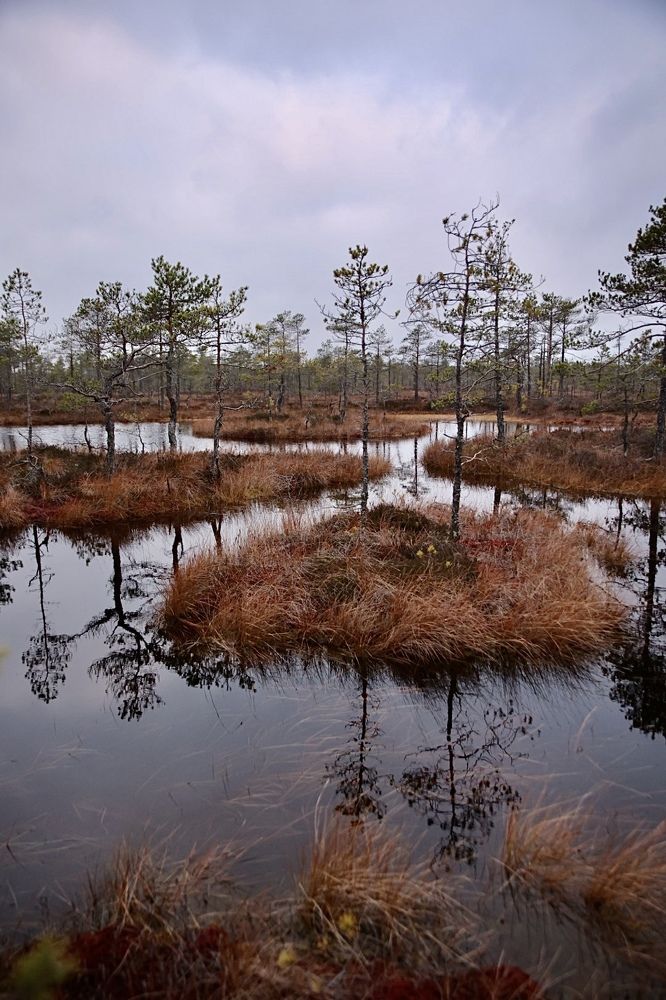 Photograph by Ольга Одаренко