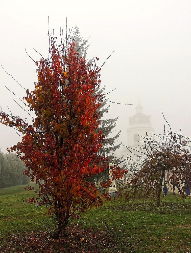 Photograph by Савоцкий Роман