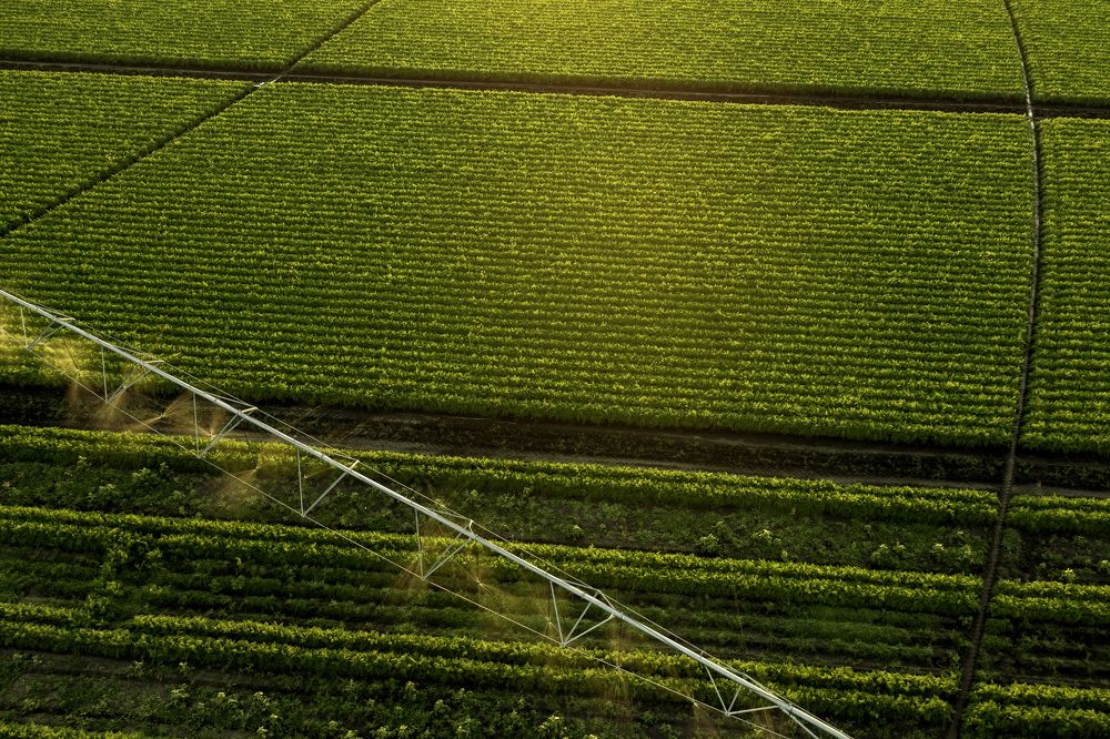 Photograph by  Павел