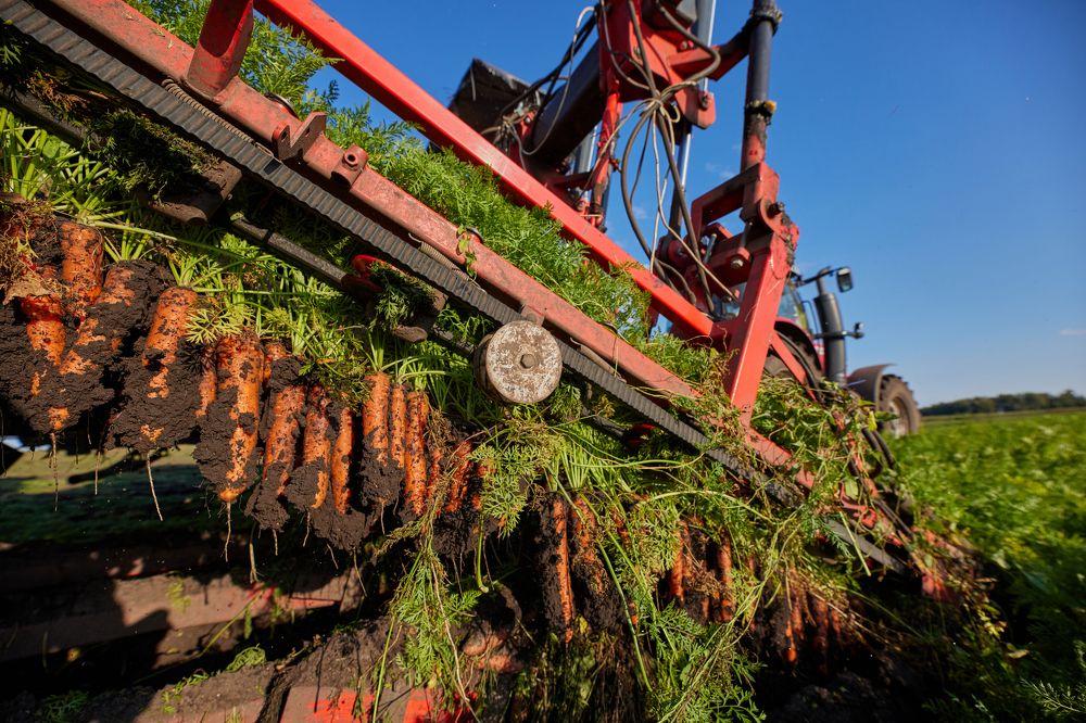 Photograph by  Павел