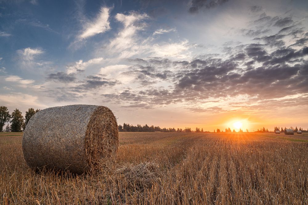 Закаты в Липецких полях