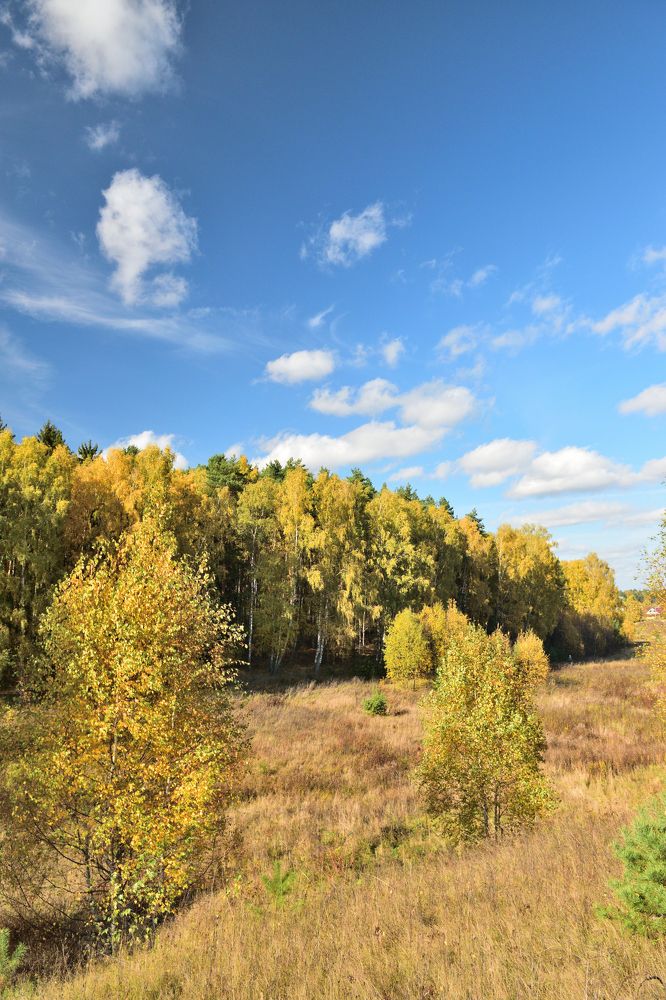 Photograph by Aleksander Perevolotsky