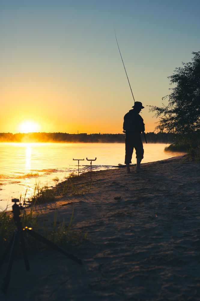 Фотография автора Григорьев Алексей