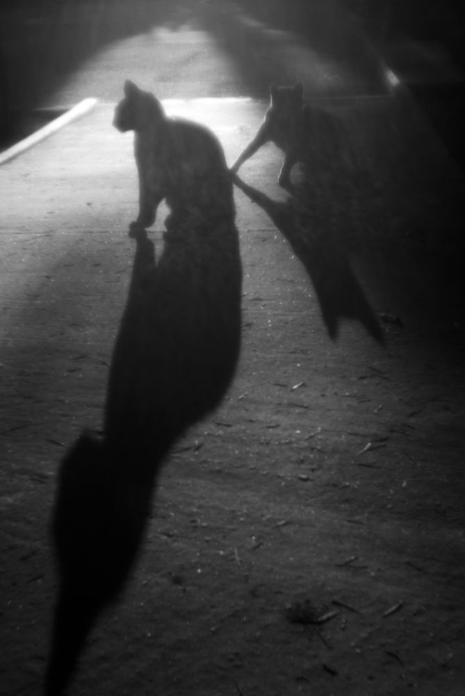 Photograph by Виктор Черкасов