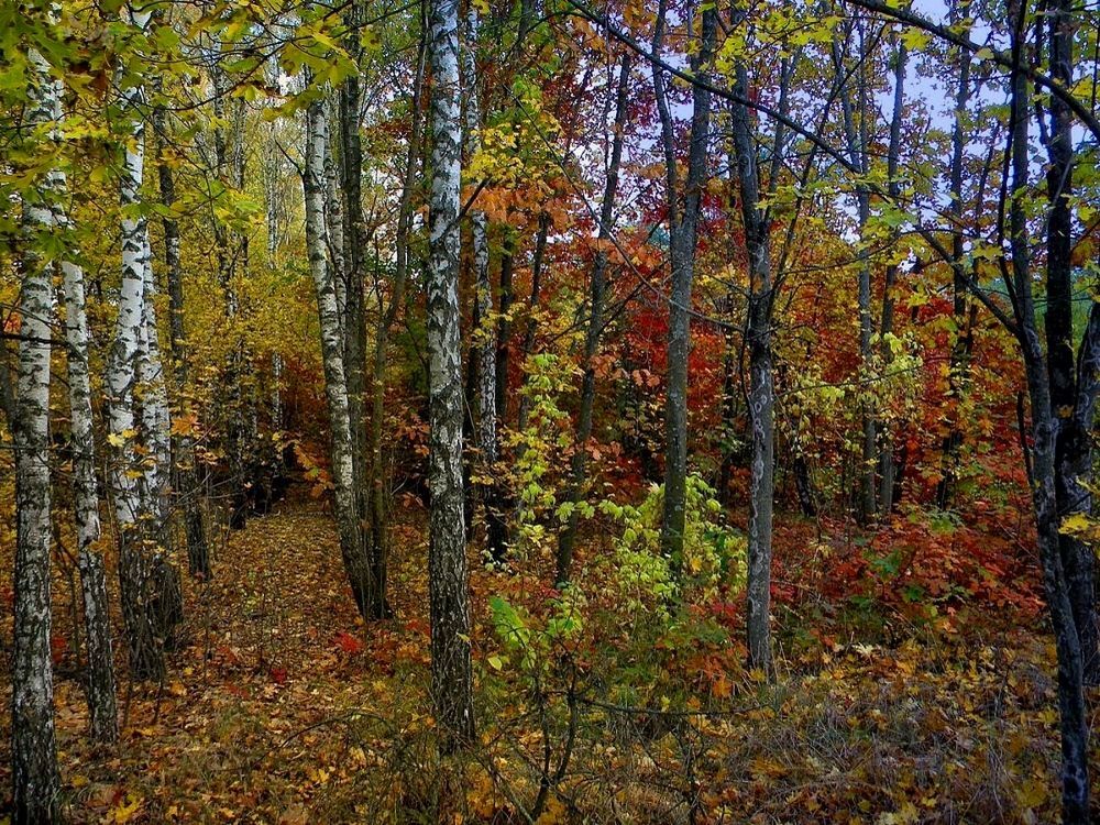 Фотография автора Роман Савоцкий