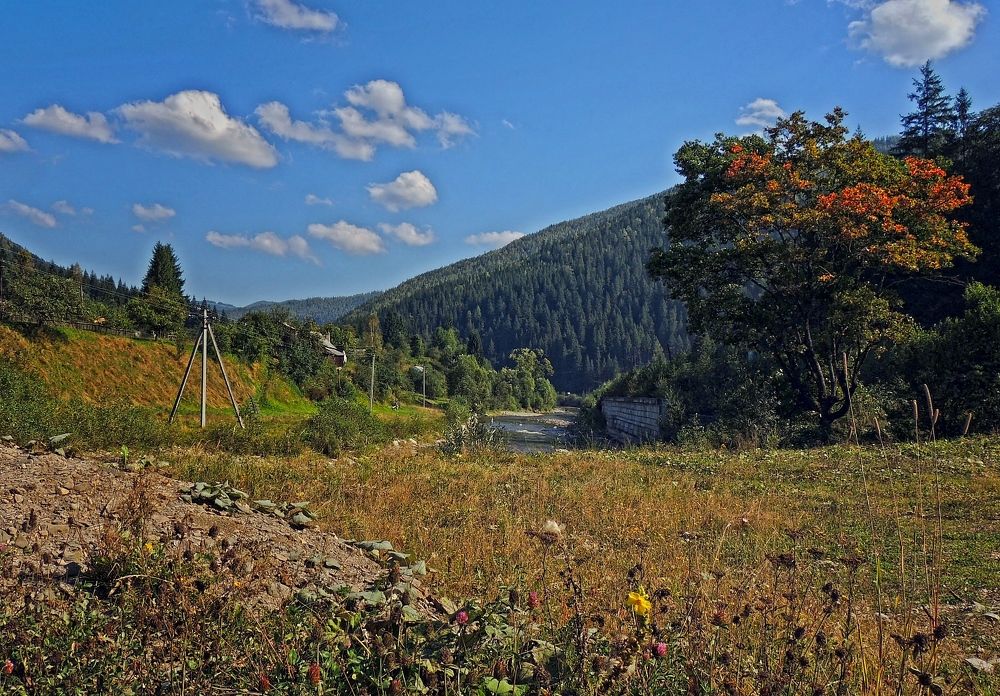 Фотография автора Роман Савоцкий