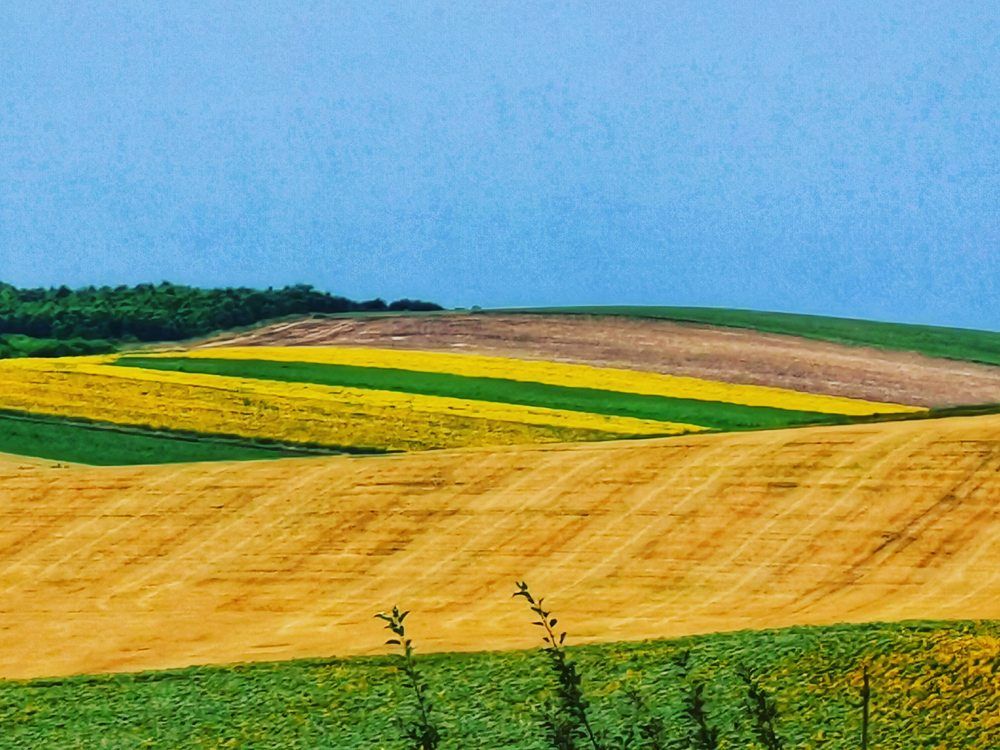 Photograph by Nikolett Mengyi