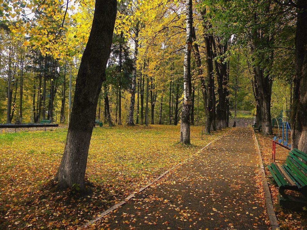 Photograph by Савоцкий Роман