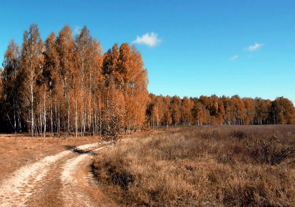 Photograph by Савоцкий Роман