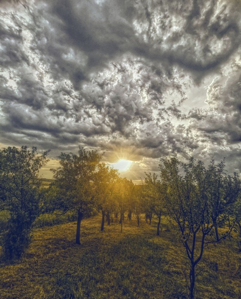 Photograph by Nikolett Mengyi