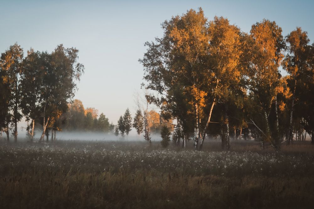 Photograph by Elena Kilina