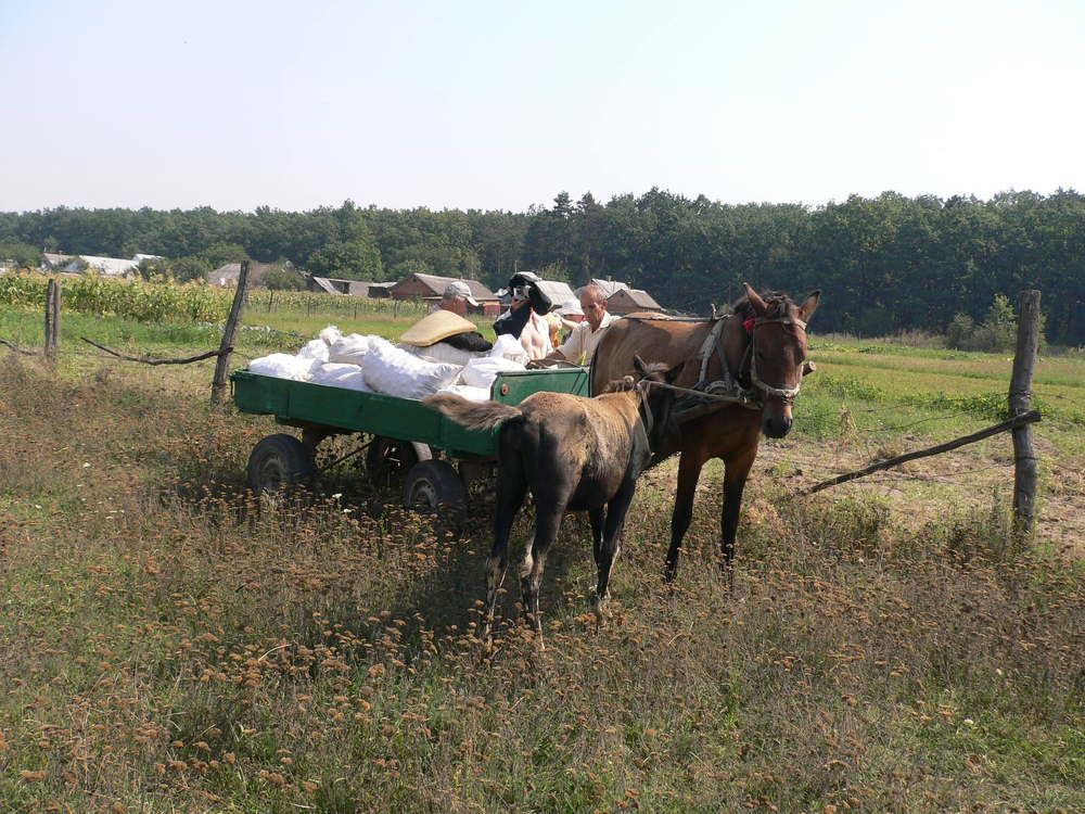 Photograph by Екатерина Хозяшева