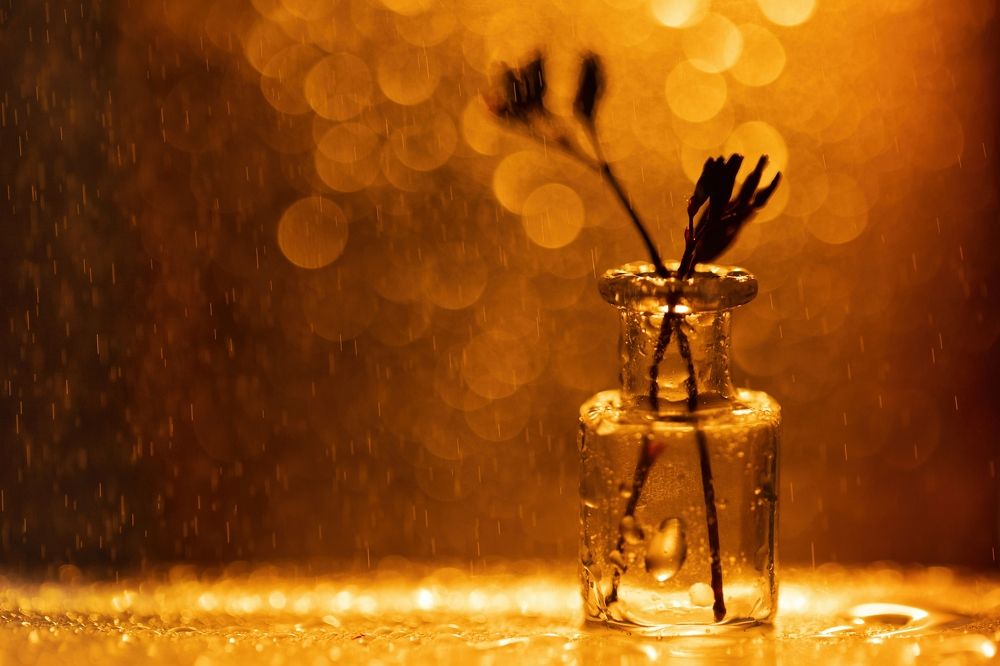 Photograph by Сергей Романченко