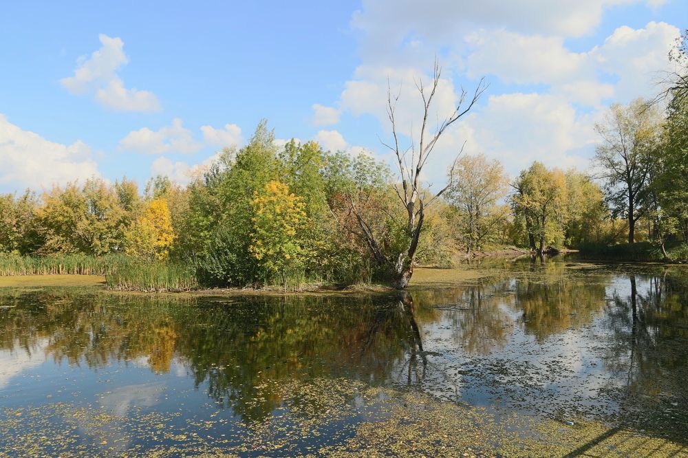 Photograph by Александр Минеев