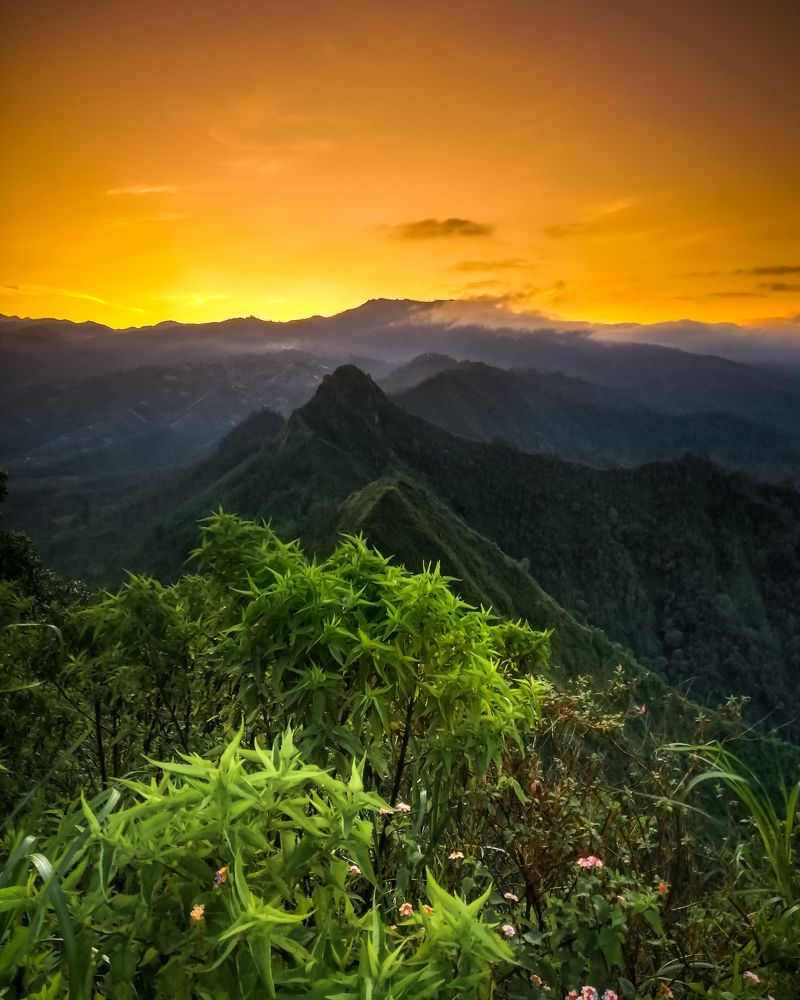 Photograph by Ryan Eko P