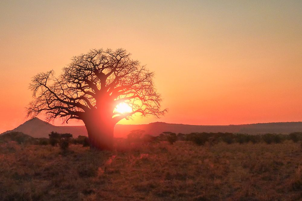 Photograph by Matteo Martin