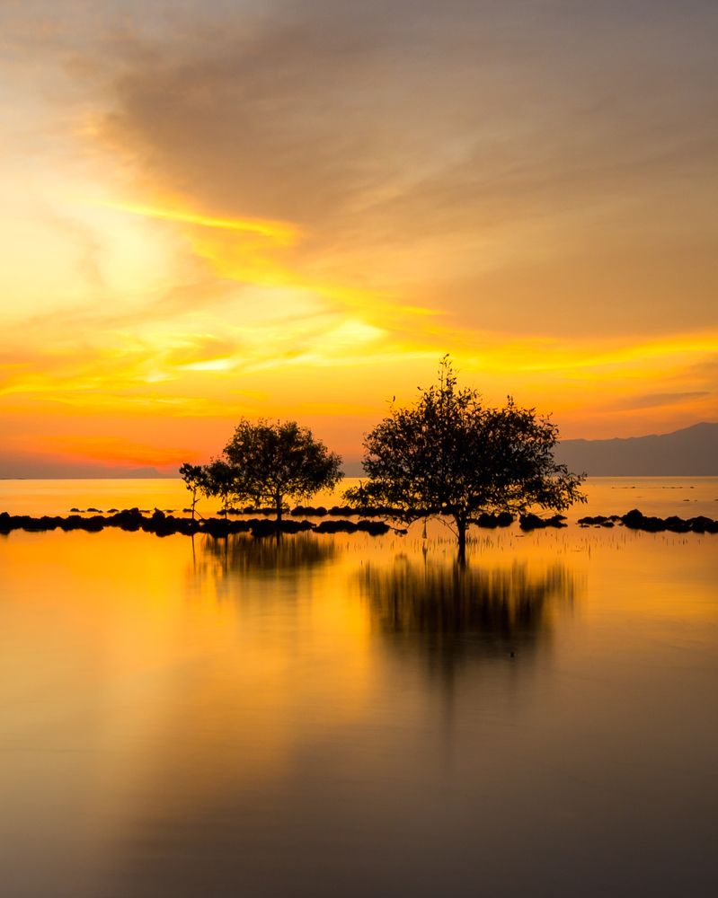 Photograph by Ryan Eko P