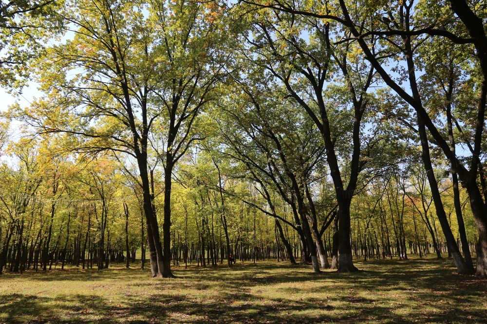 Photograph by Александр Минеев