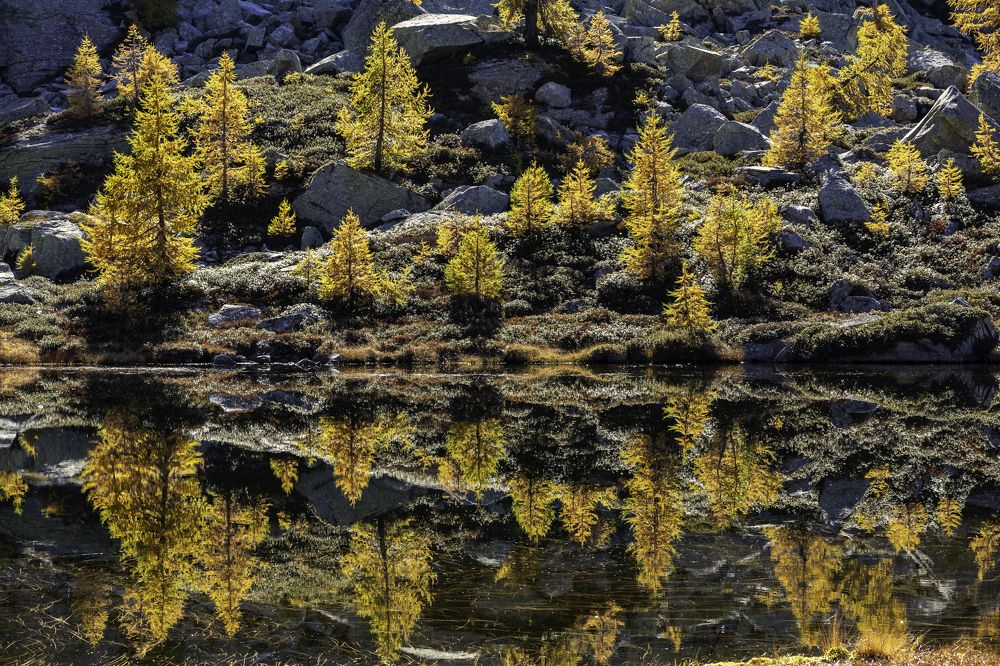 Photograph by Matteo Martin