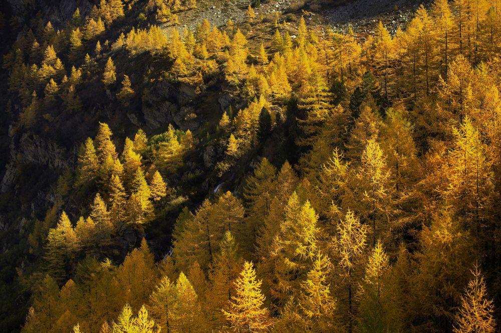 Photograph by Matteo Martin