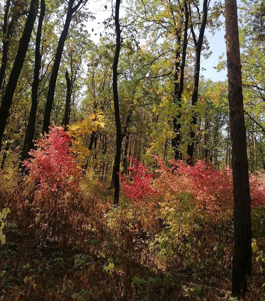 Photograph by Виктория Атласова