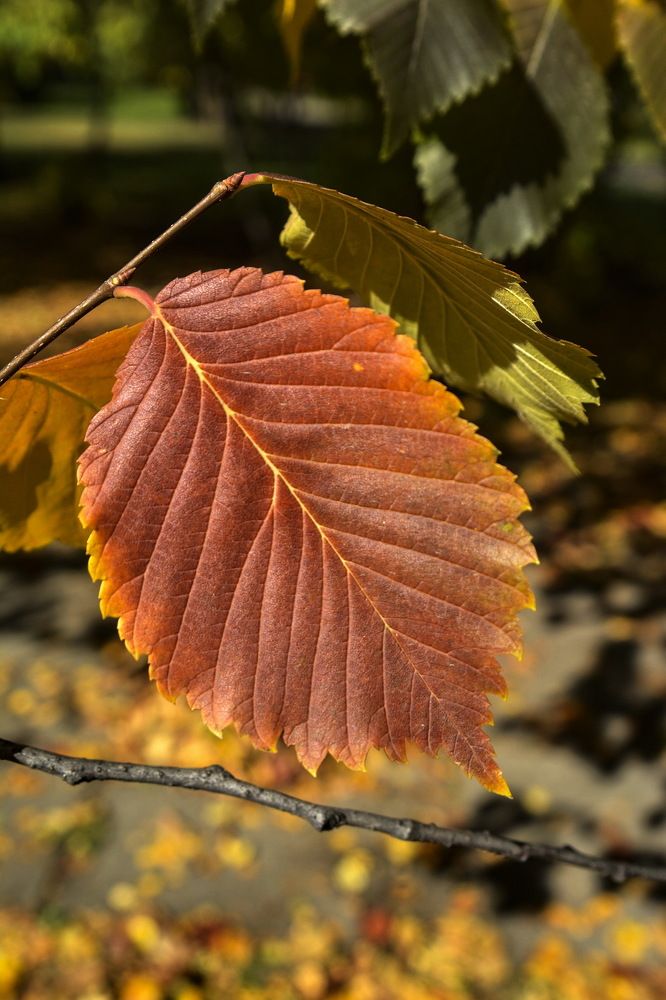 Photograph by Юрий Назыров