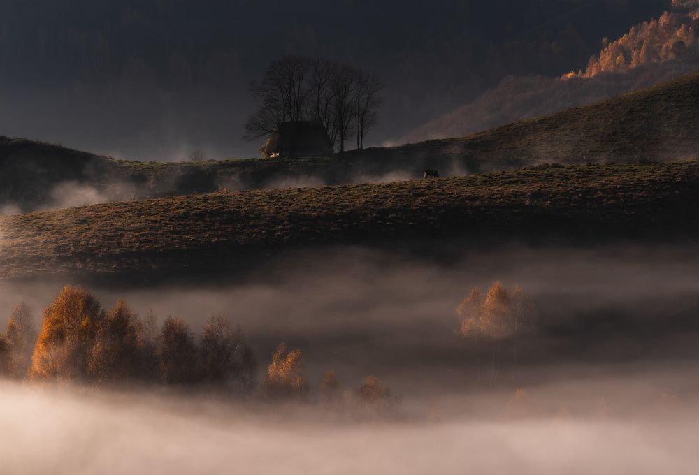 Photograph by Alin Bicas