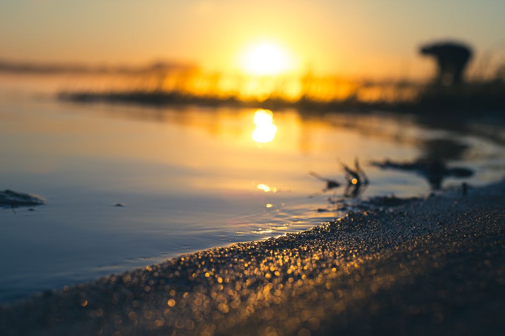 Фотография автора Григорьев Алексей