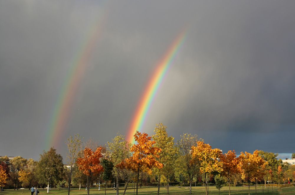 После осеннего дождя