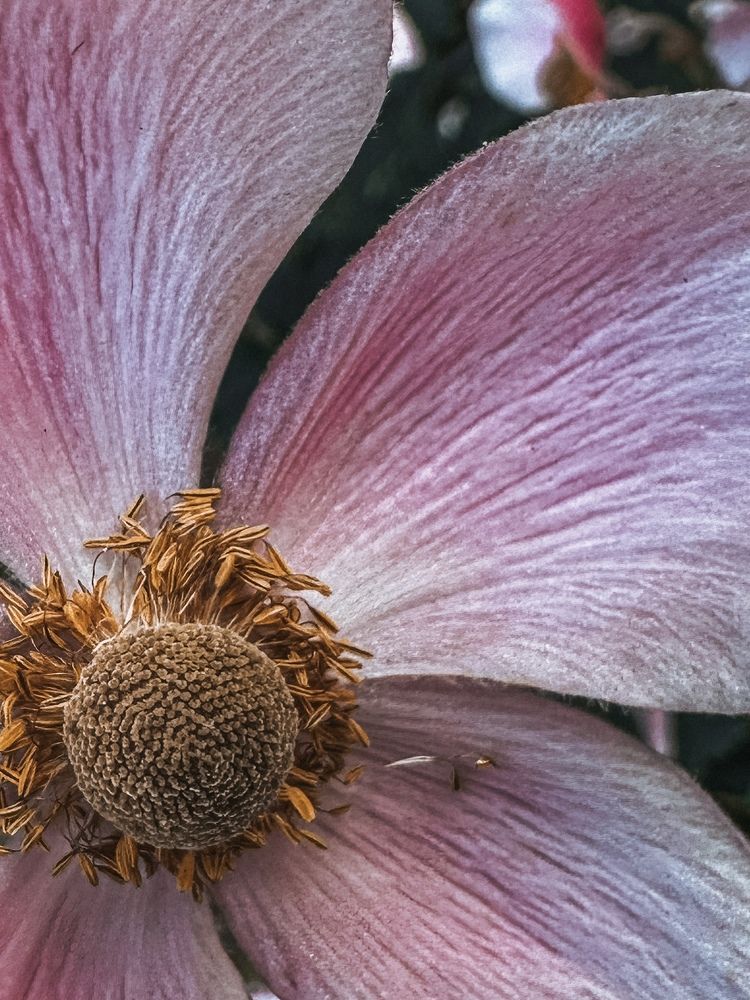 Photograph by Аленa Пономарева