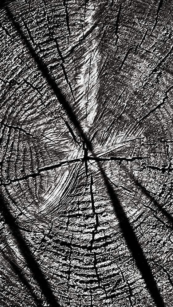 Фотография автора Всеволод Юрша