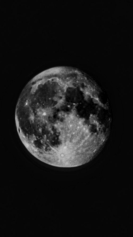 Фотография автора Всеволод Юрша