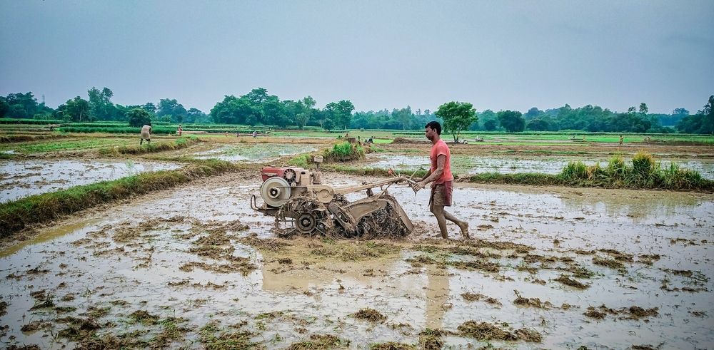Photograph by Sourav pramanik