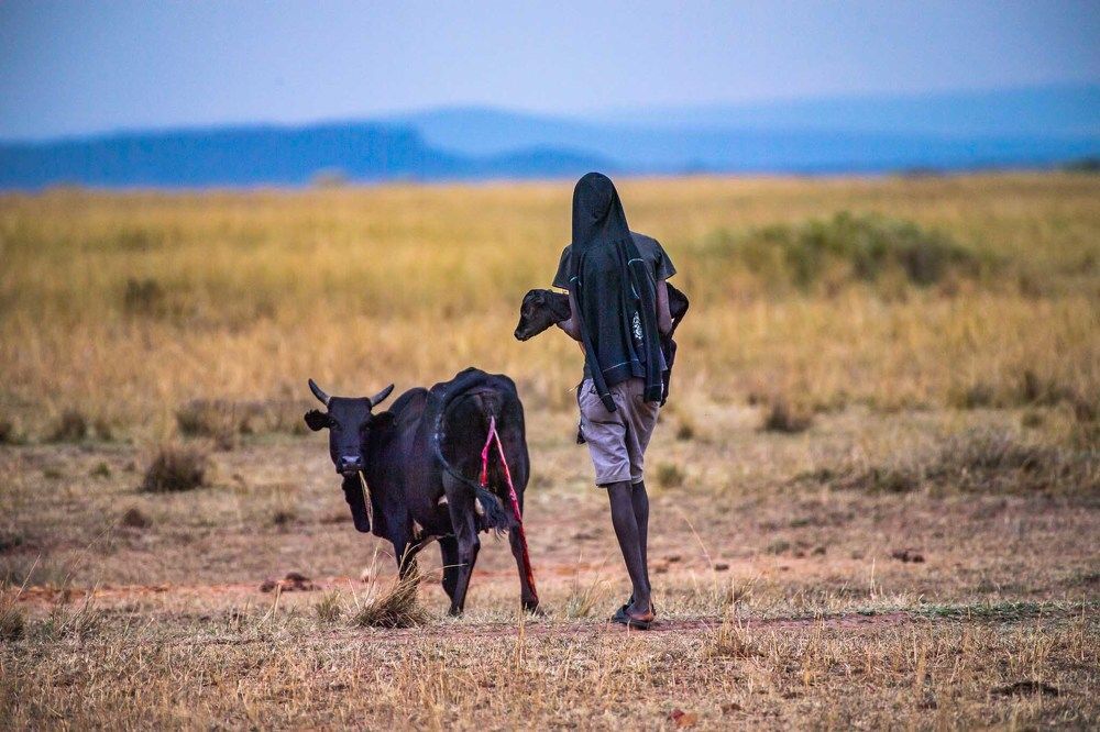 Photograph by Avani Dhanani